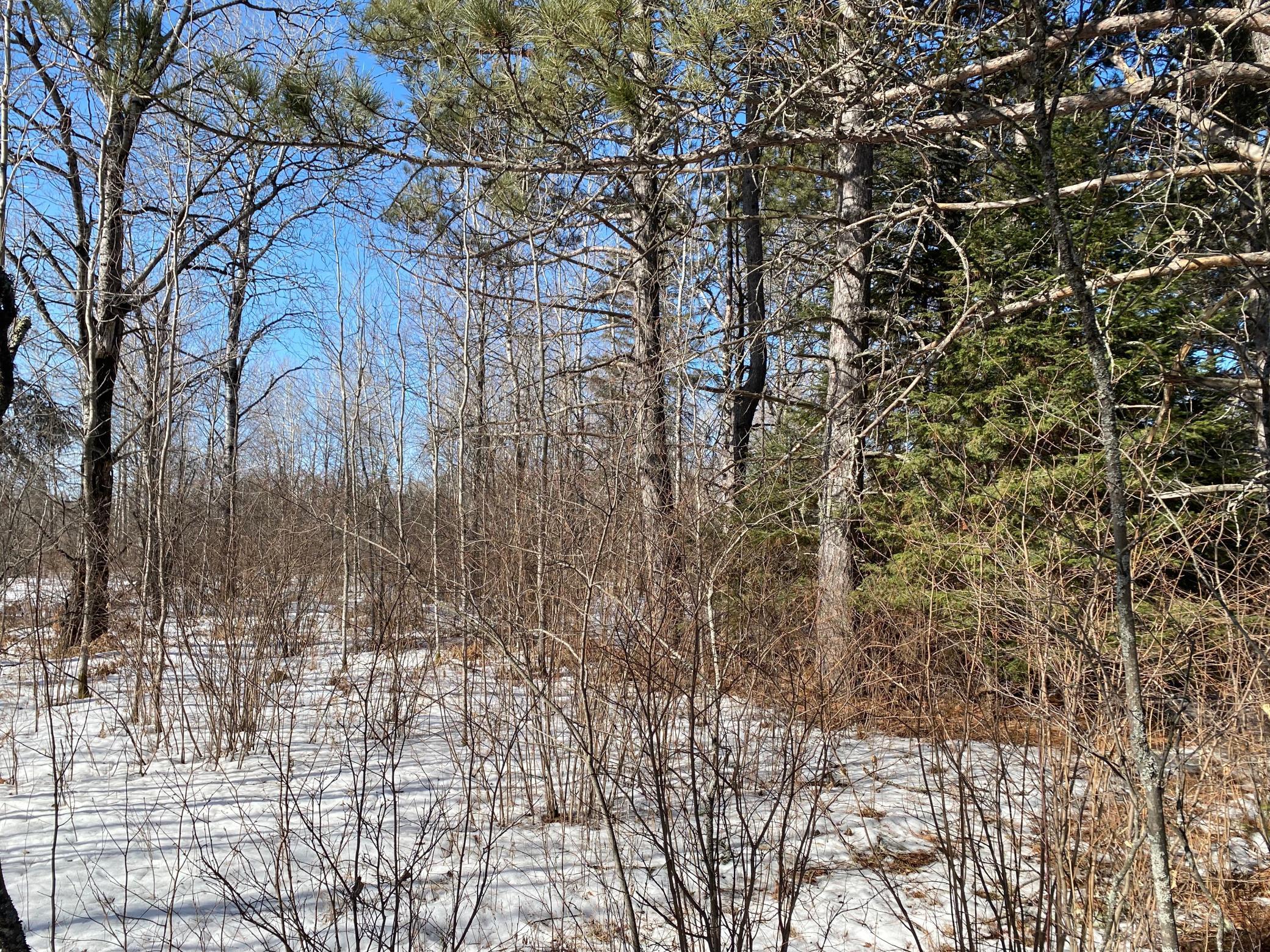 TBD Sherwood Anderson Rd., Britt, Minnesota image 34