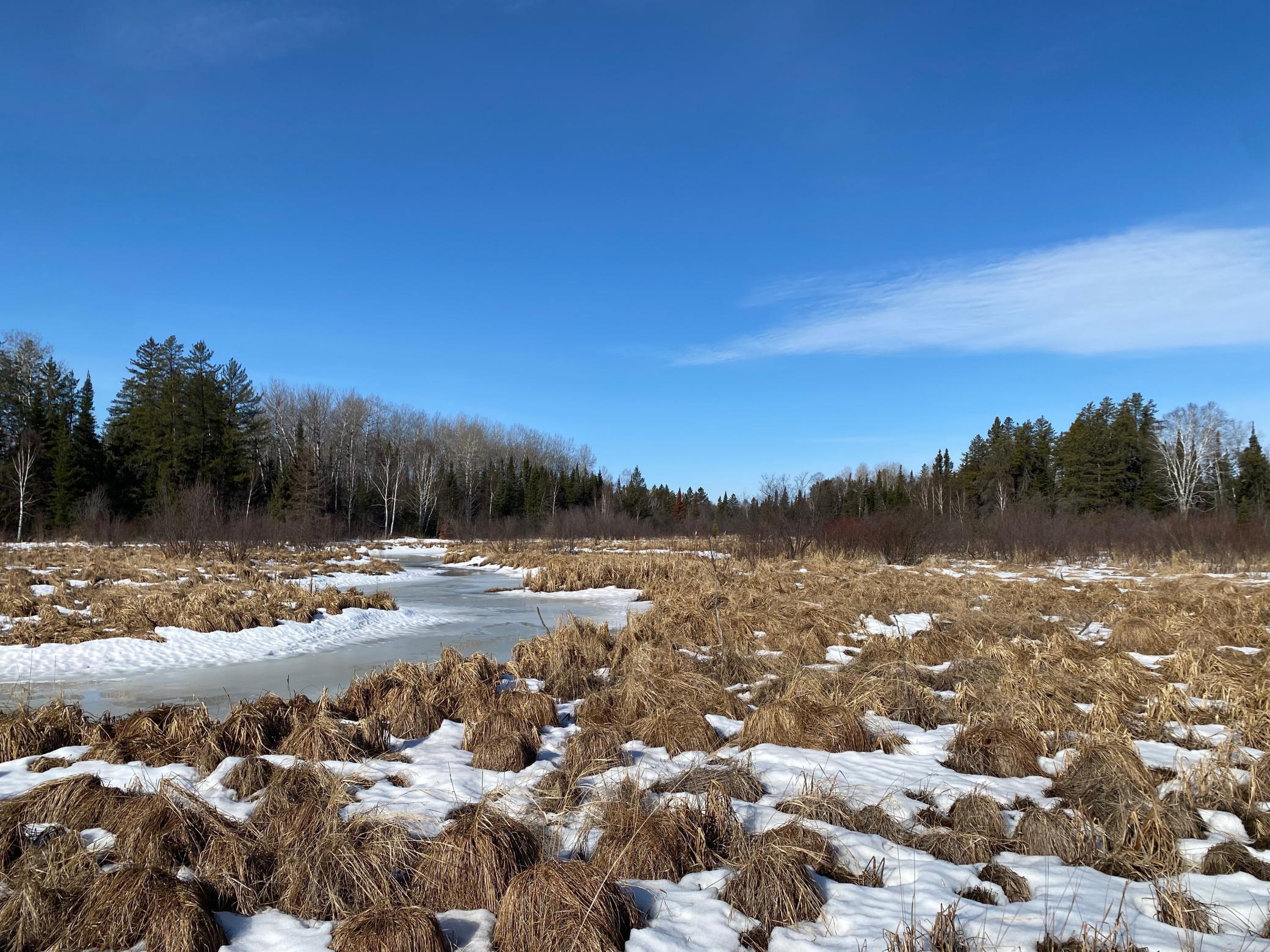 TBD Sherwood Anderson Rd., Britt, Minnesota image 23