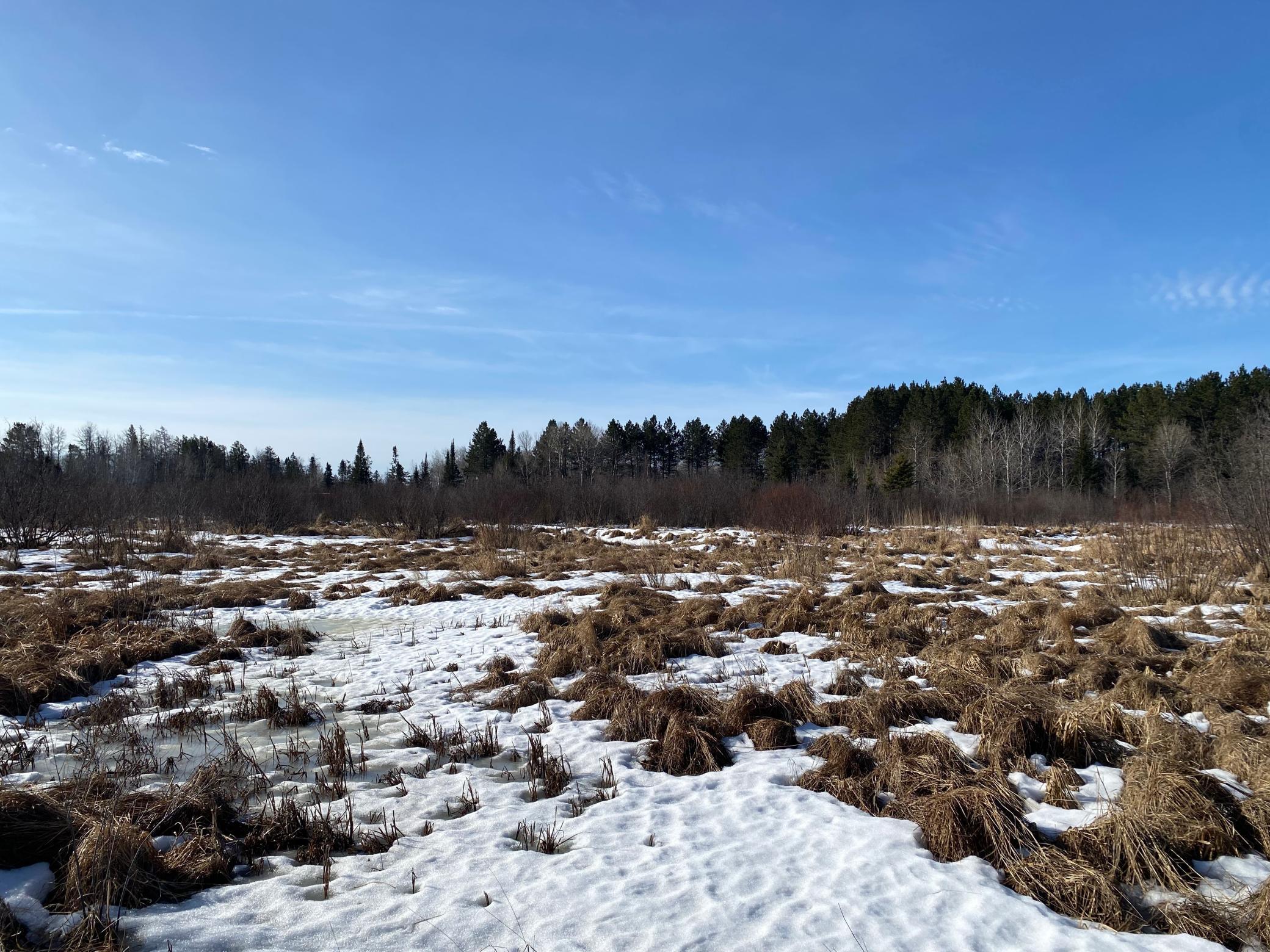 TBD Sherwood Anderson Rd., Britt, Minnesota image 19