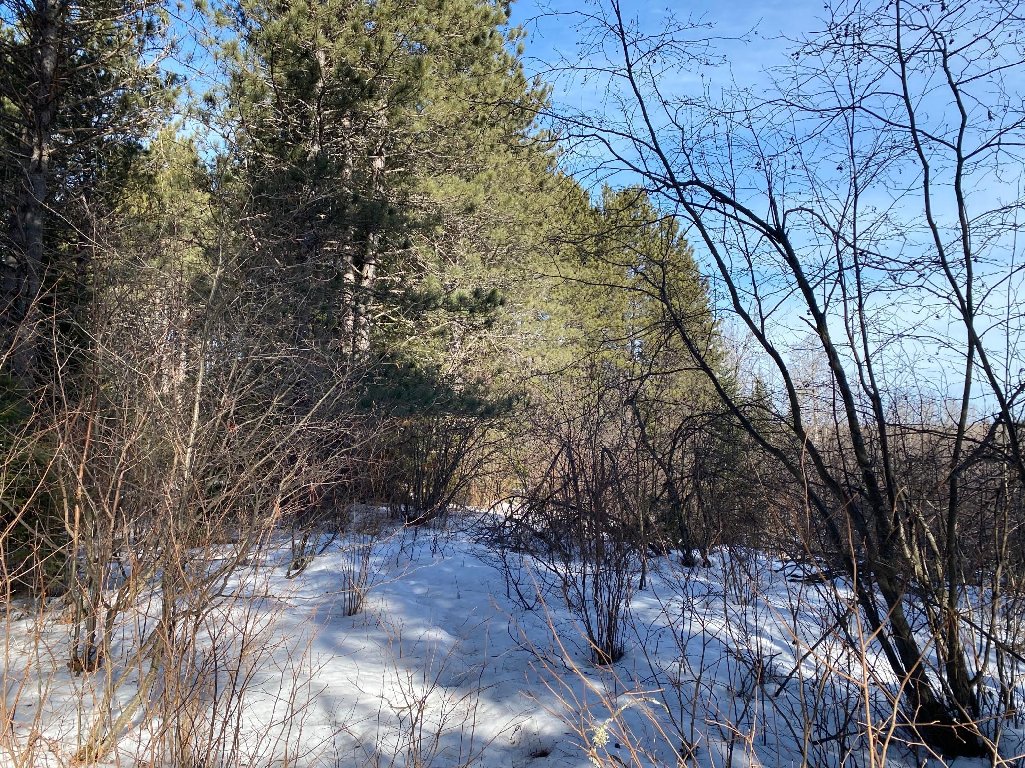TBD Sherwood Anderson Rd., Britt, Minnesota image 35