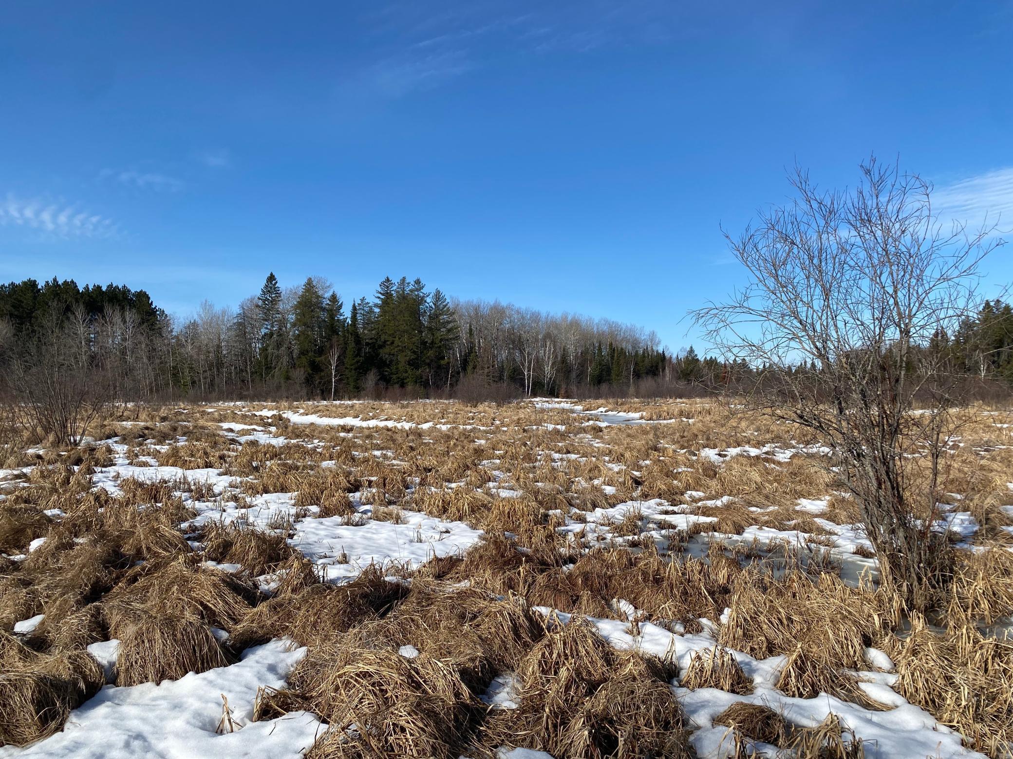 TBD Sherwood Anderson Rd., Britt, Minnesota image 18