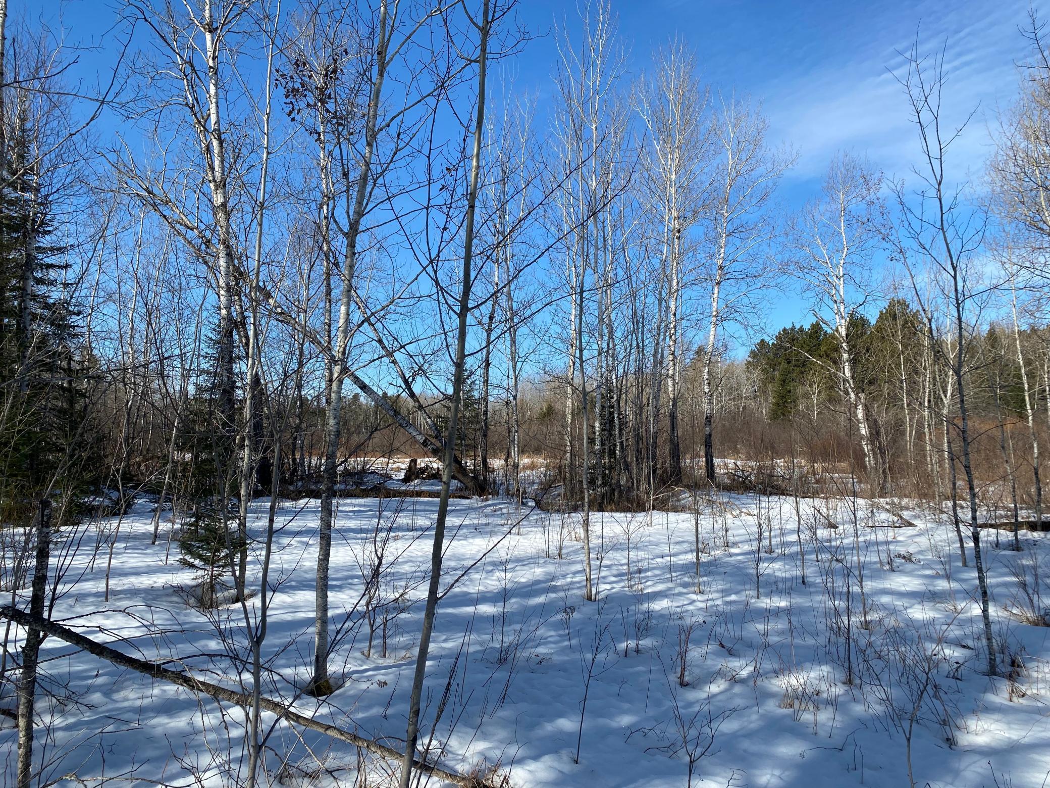 TBD Sherwood Anderson Rd., Britt, Minnesota image 25