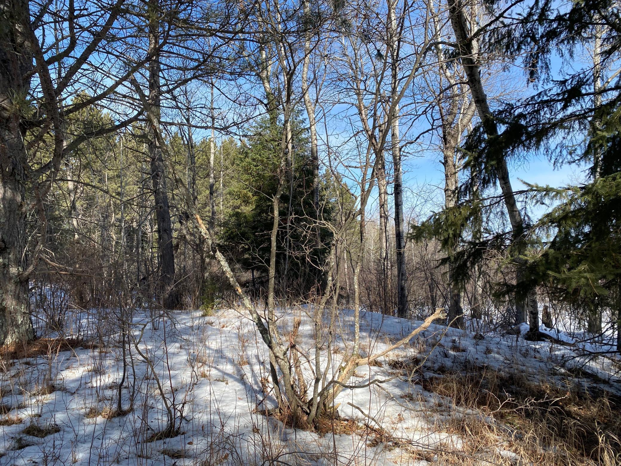 TBD Sherwood Anderson Rd., Britt, Minnesota image 31