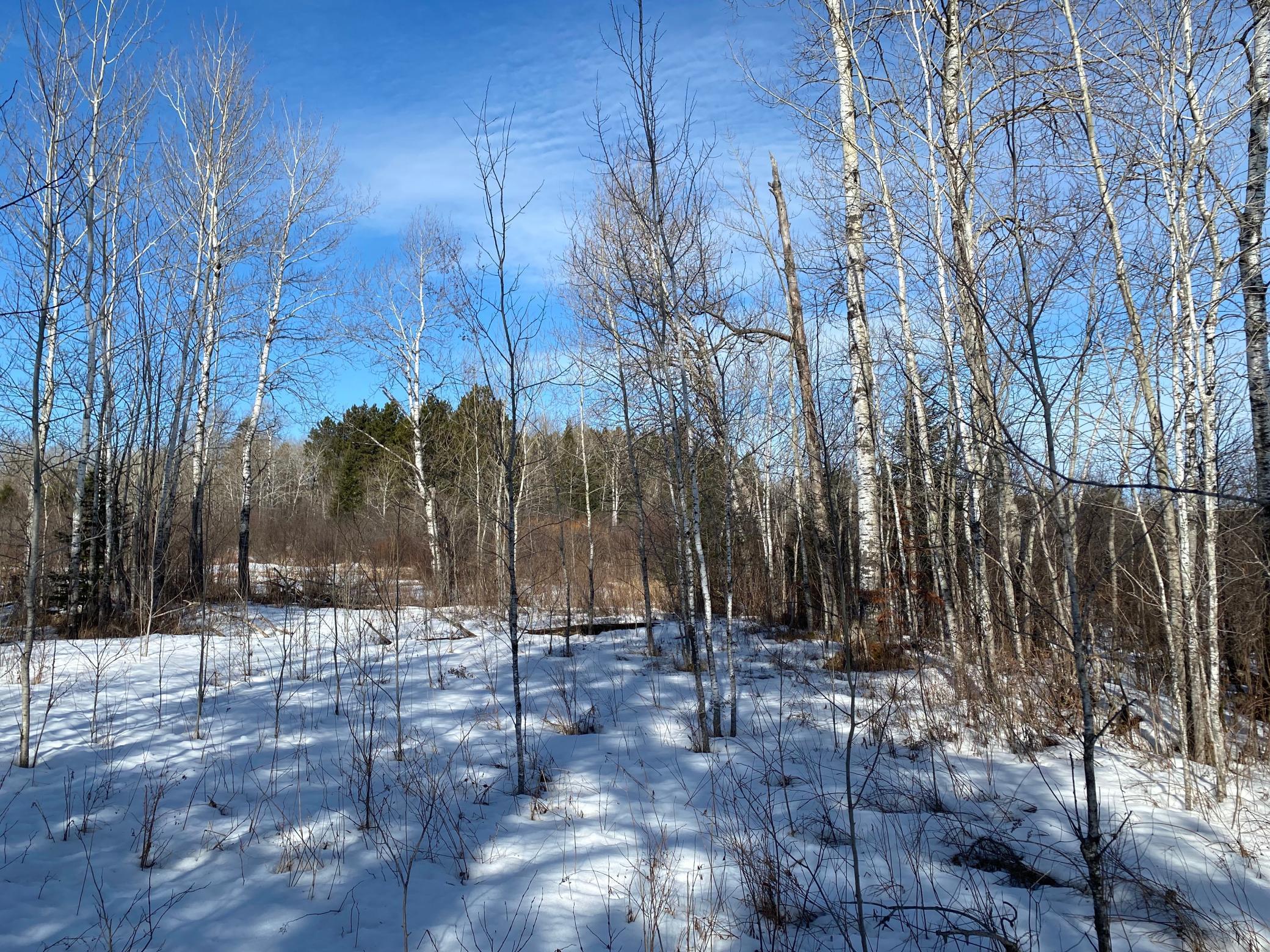TBD Sherwood Anderson Rd., Britt, Minnesota image 24