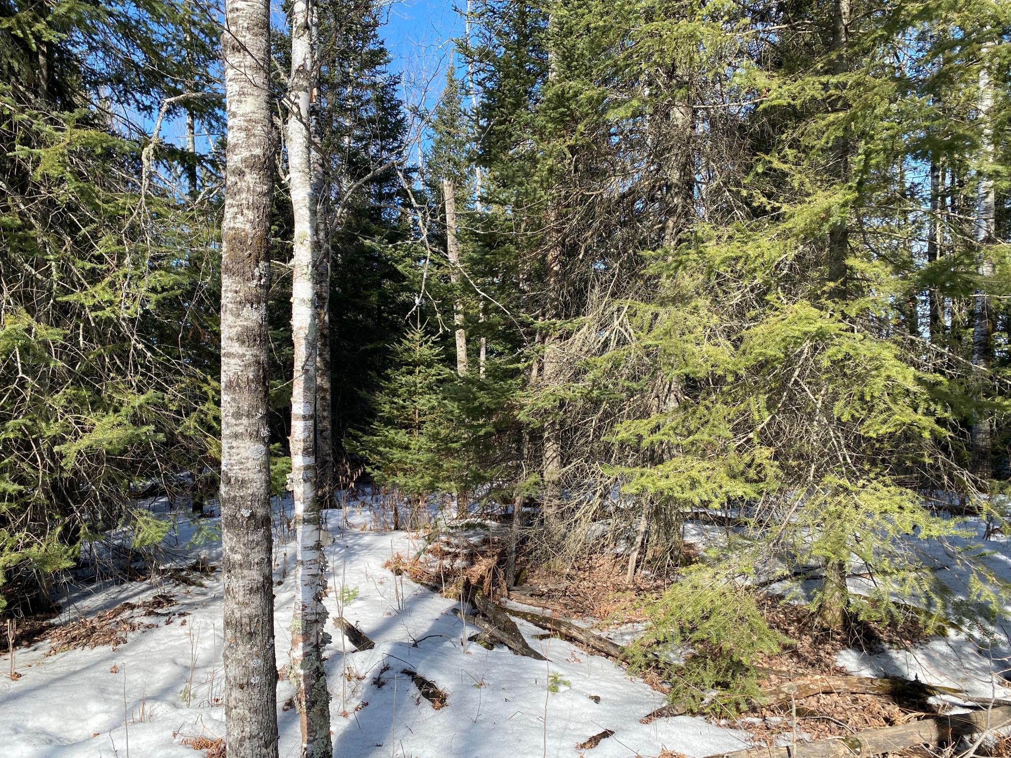 TBD Sherwood Anderson Rd., Britt, Minnesota image 11