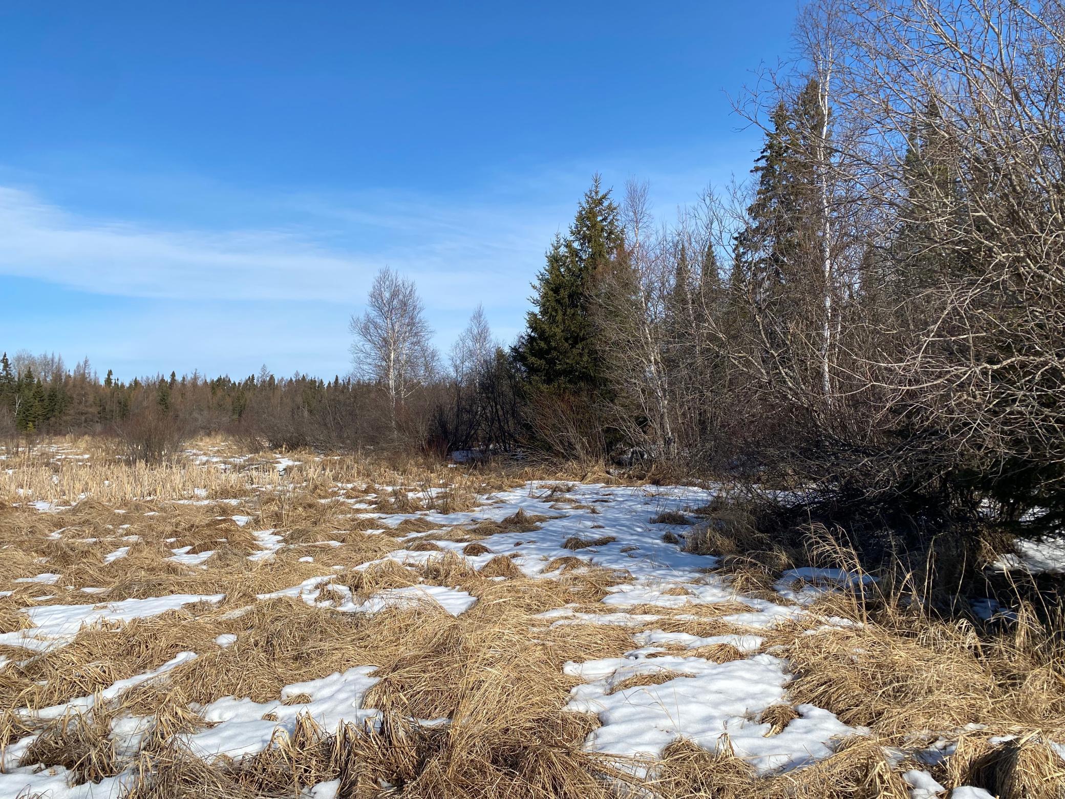TBD Sherwood Anderson Rd., Britt, Minnesota image 20