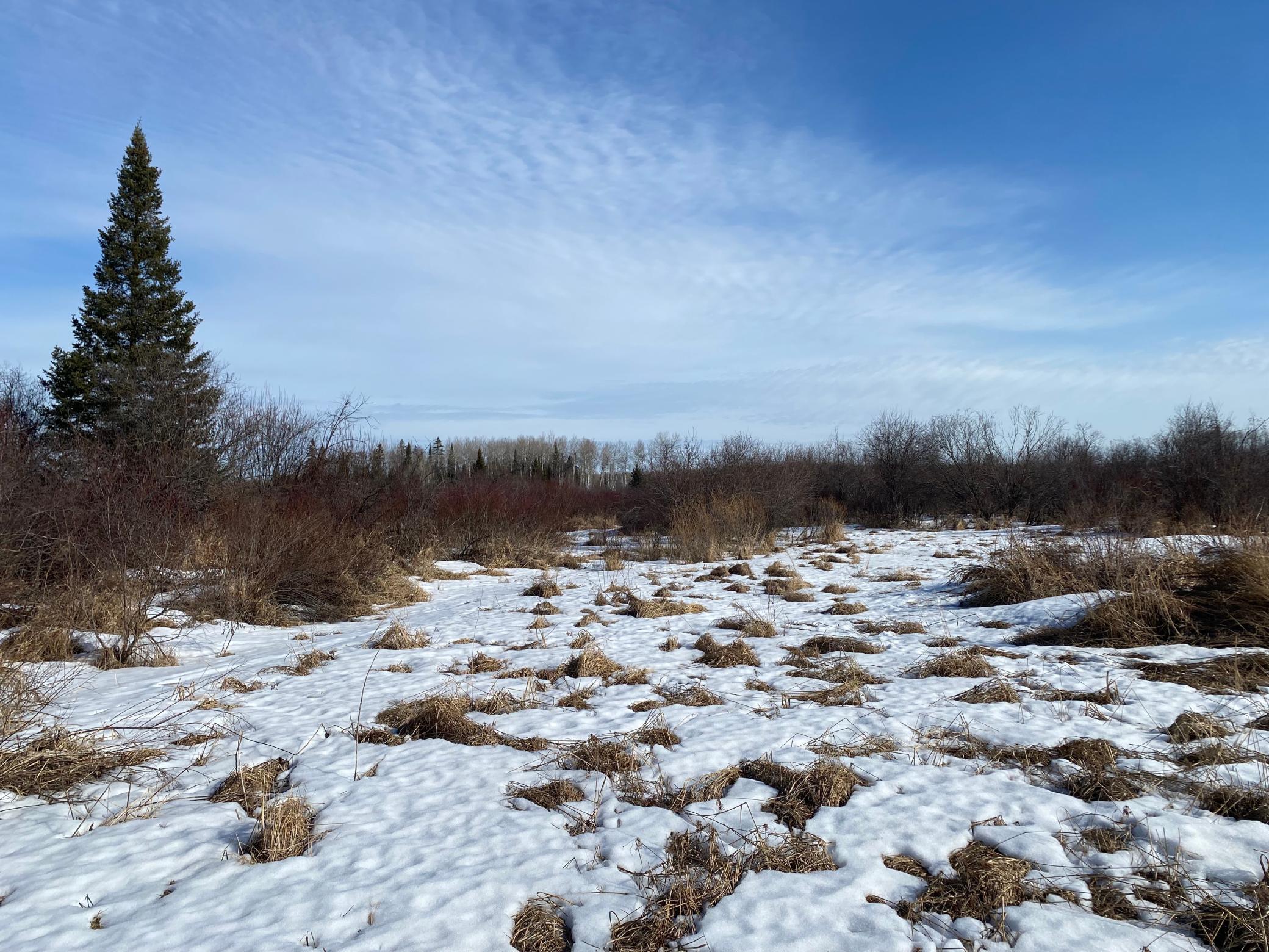 TBD Sherwood Anderson Rd., Britt, Minnesota image 27