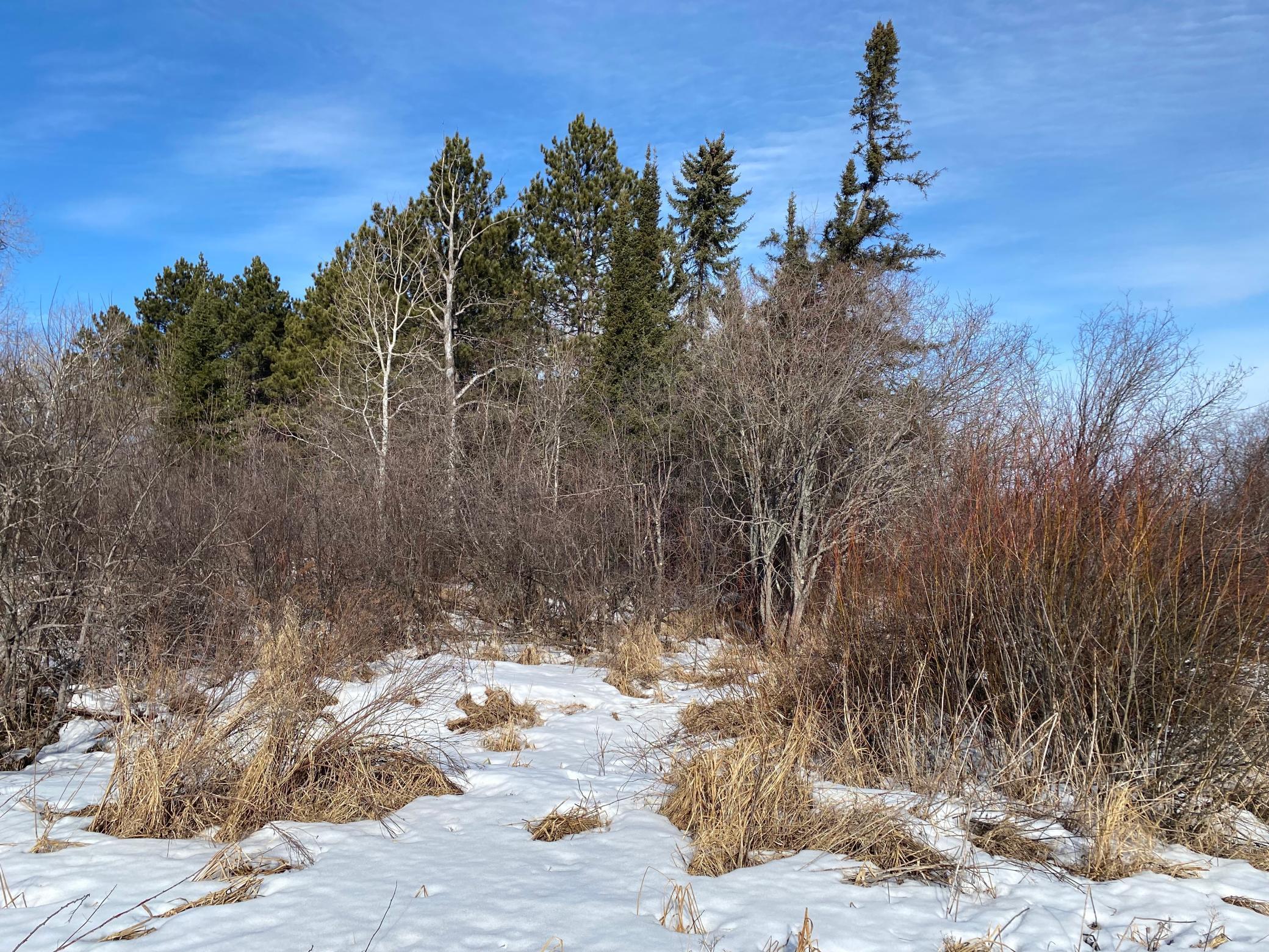TBD Sherwood Anderson Rd., Britt, Minnesota image 28