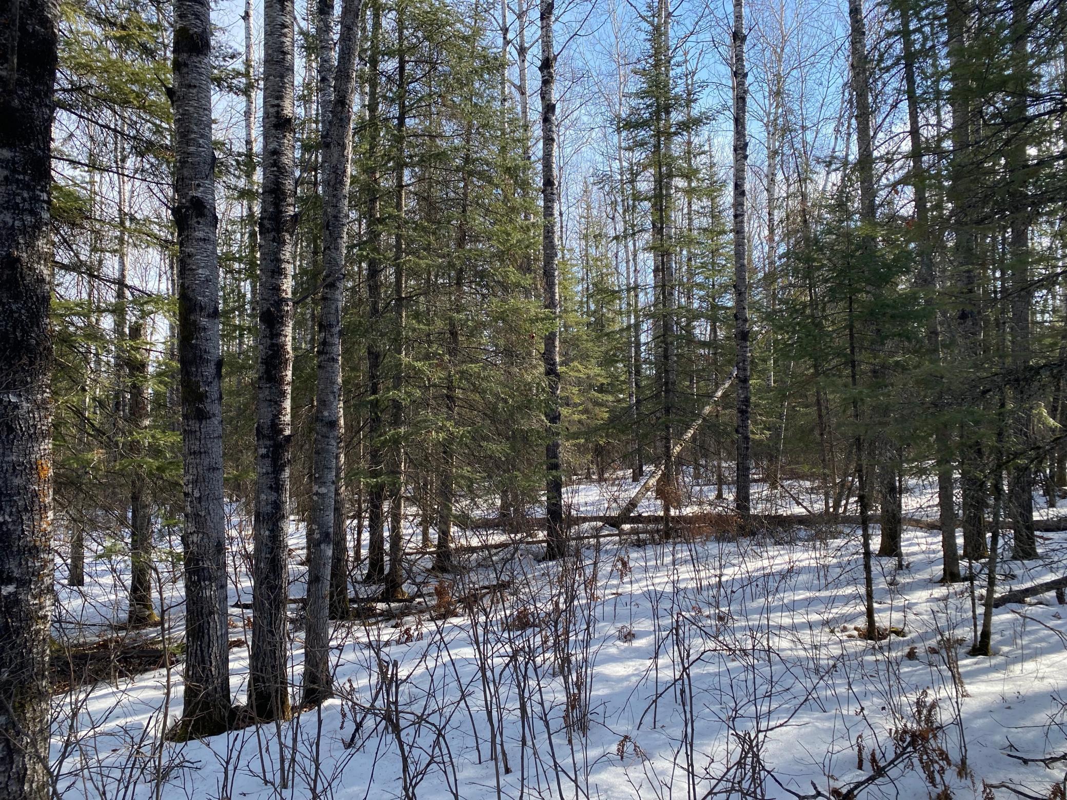 TBD Sherwood Anderson Rd., Britt, Minnesota image 50