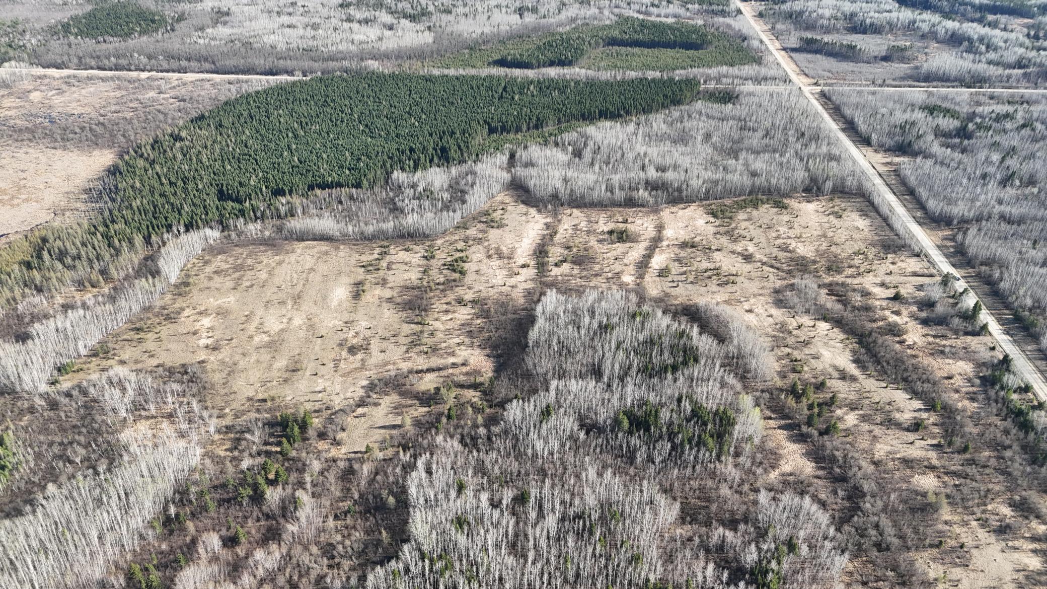 TBD County Road 14, Littlefork, Minnesota image 3