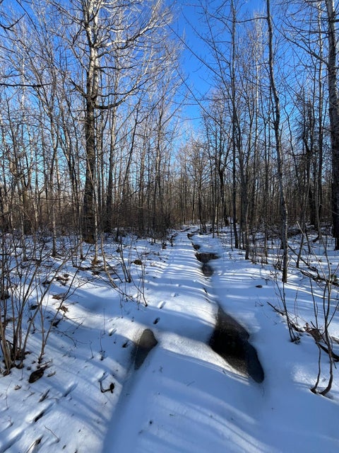 Vacant Land For Sale - TBD County Rd 4<br/> Barnum, MN 55707