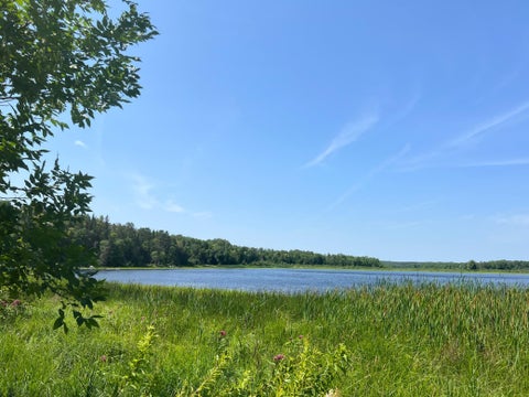 Vacant Land For Sale - 59112 412th Place<br/> Aitkin County, Swatara, MN 55785