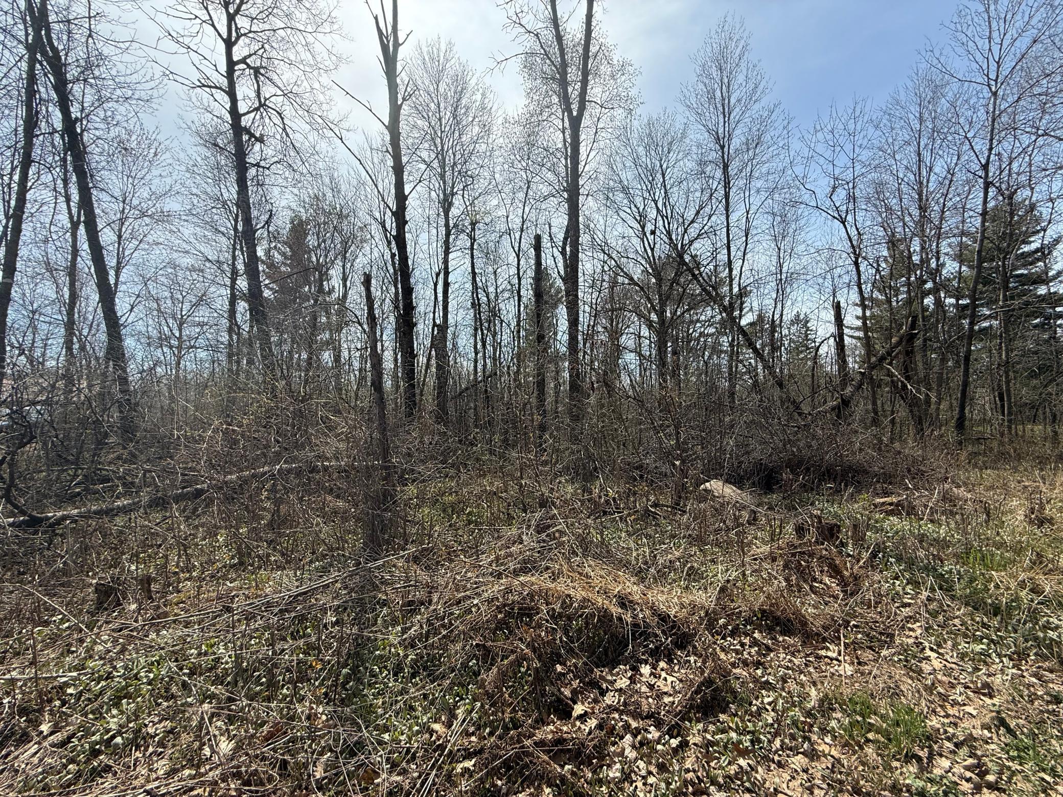 14XXX Birchwood Trail, Pine City, Minnesota image 1