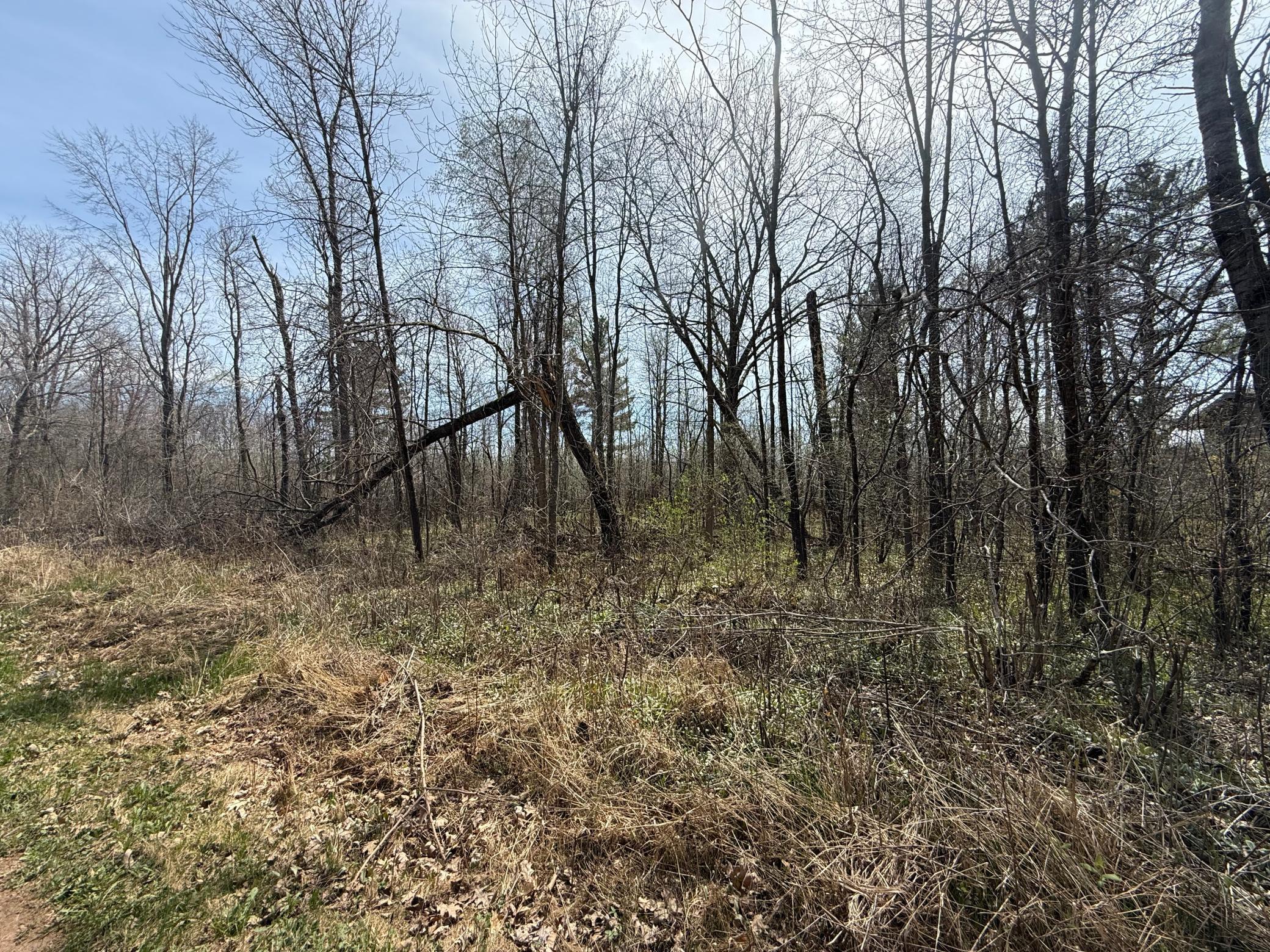 14XXX Birchwood Trail, Pine City, Minnesota image 3
