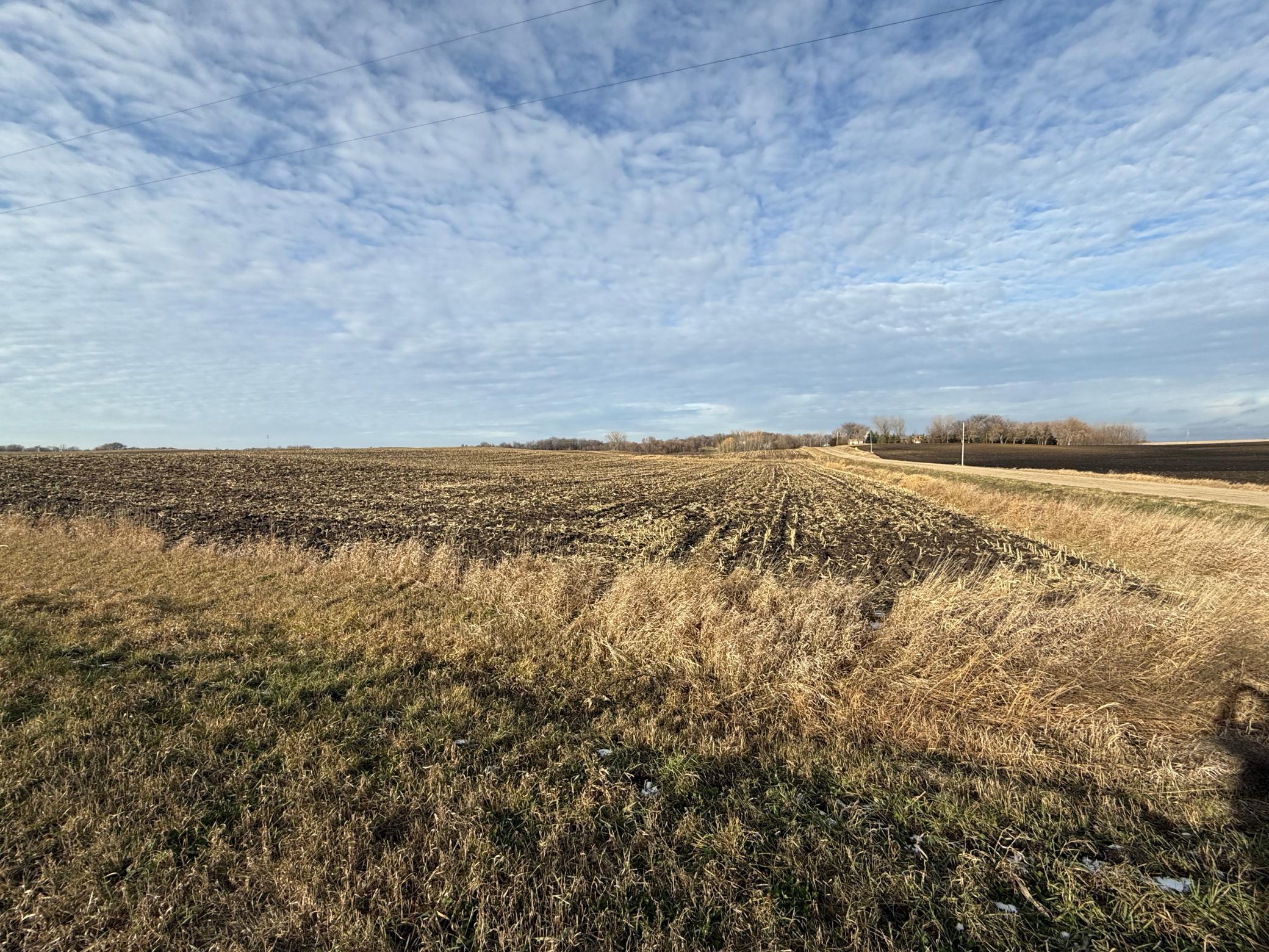 11111 Peyton, Cokato, Minnesota image 3