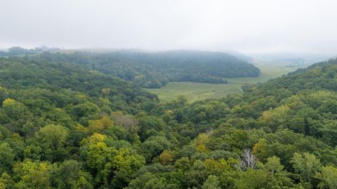 Vacant Land For Sale - TBD (LOT 4) Goat Back Road<br/> Pepin County, Pepin, WI 54759