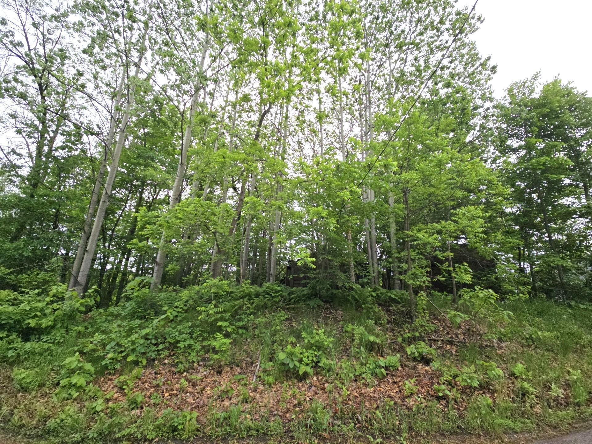 9492 N Shore Trail, Forest Lake, Minnesota image 1