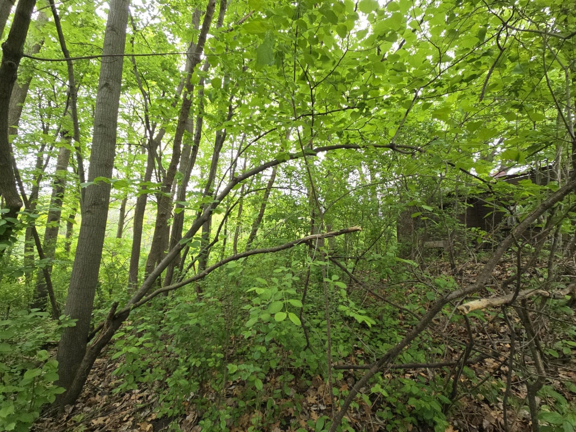 9492 N Shore Trail, Forest Lake, Minnesota image 2