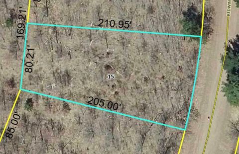 Vacant Land For Sale - LOT 49 Red Wing Place<br/> Burnett County, Danbury, WI 54830