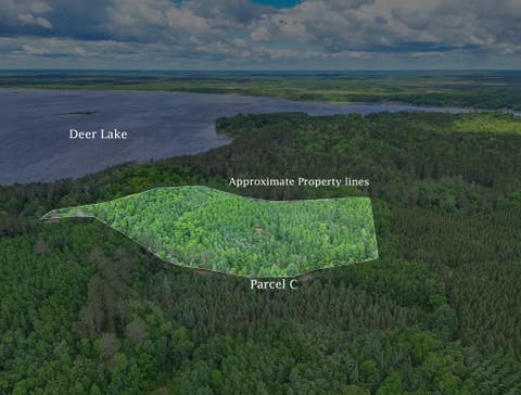 Vacant Land For Sale - TBD LOT C County Road 533<br/> Effie, MN 56639