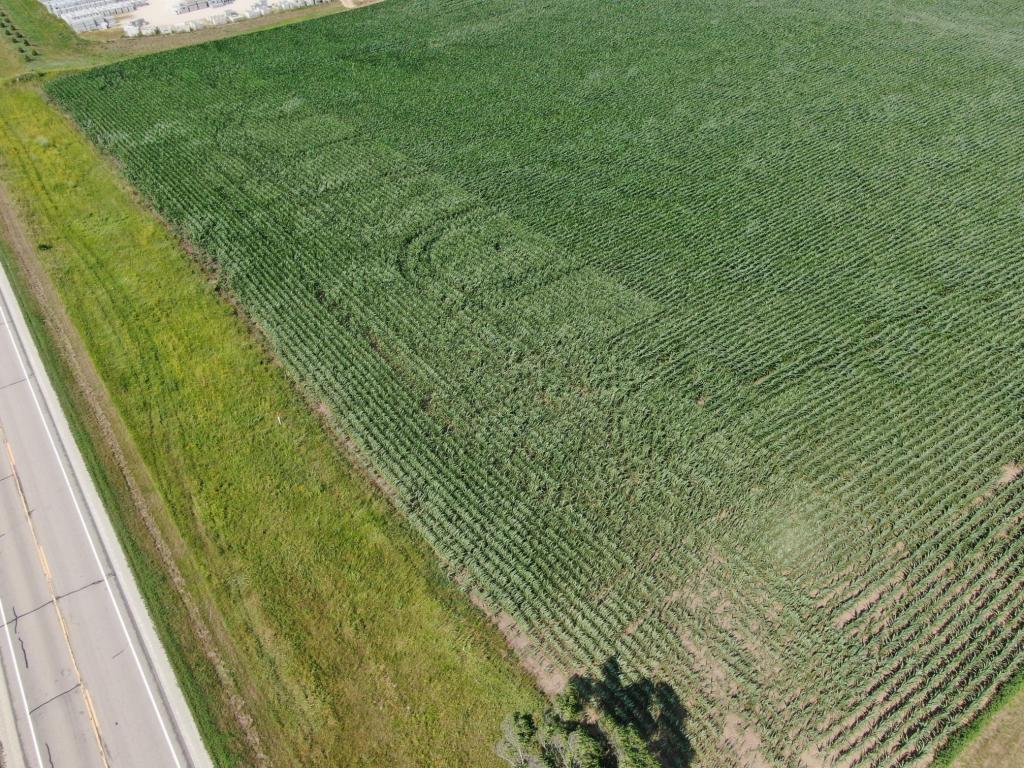 TBD Highway 57, Wanamingo, Minnesota image 8