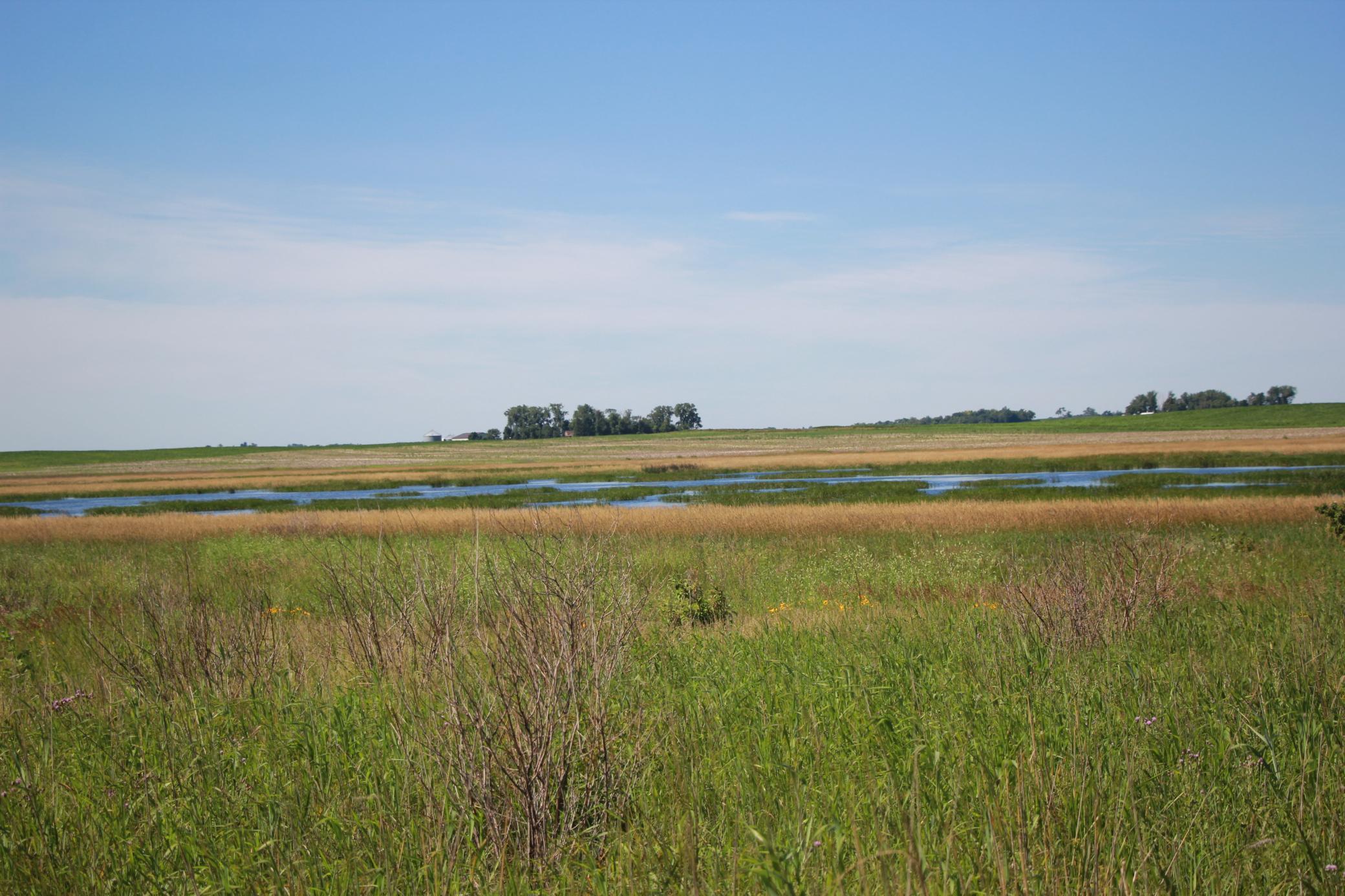 XXX 60th Street, Blue Earth, Minnesota image 19