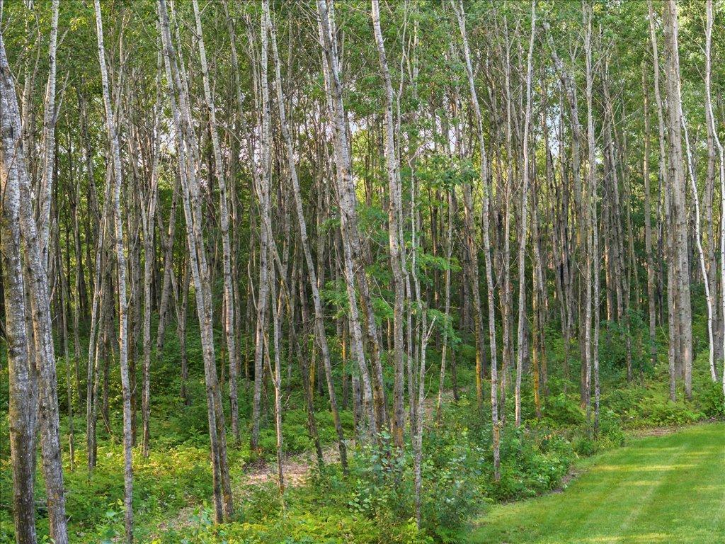 1281 Mayo Road, Pequot Lakes, Minnesota image 26
