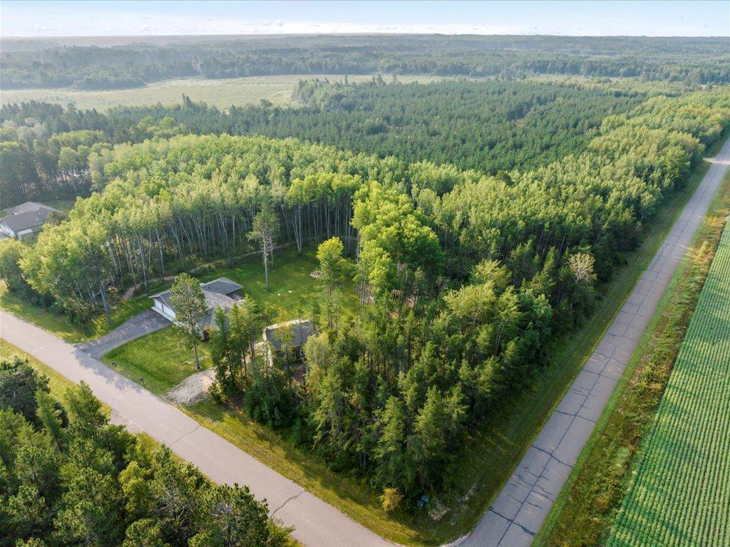 1281 Mayo Road, Pequot Lakes, Minnesota image 28