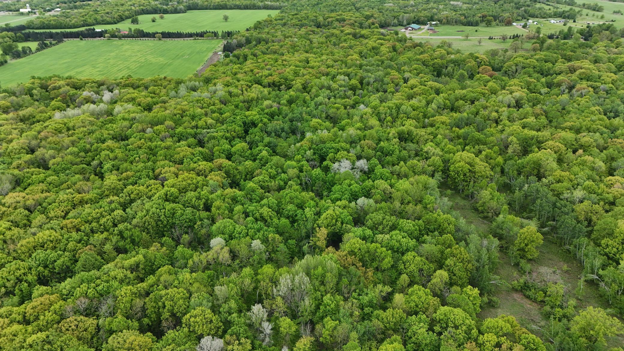 TBD 210th Ave, Ogilvie, Minnesota image 9