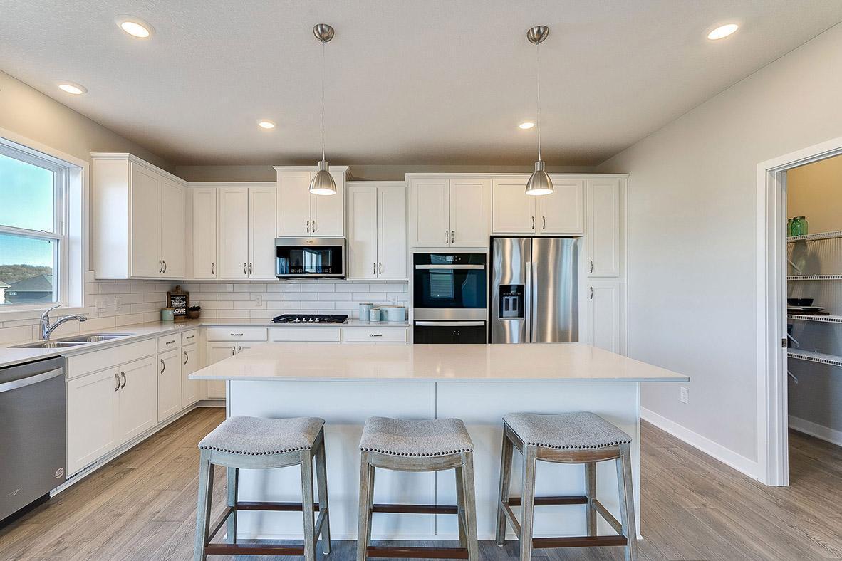 1519 Clover Preserve Way, Chaska, Minnesota image 2