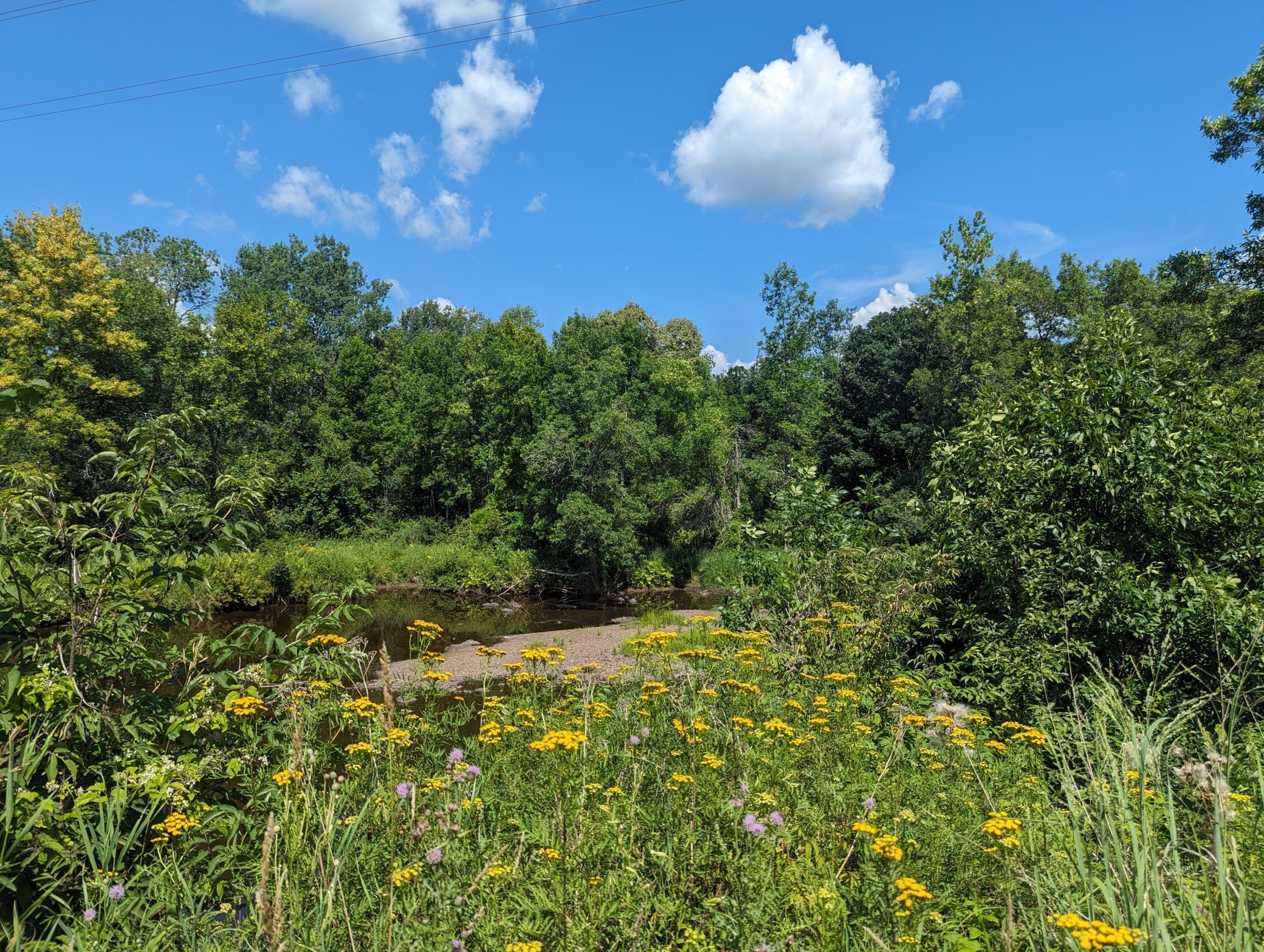 XXX County Rd 12, Kettle River, Minnesota image 2