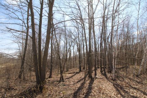 Vacant Land For Sale - XXX Lake Camille Dr.<br/> Randall, MN 56475