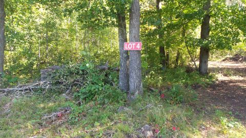 Vacant Land For Sale - LOT 4 East River Rd<br/> Burnett County, Grantsburg, WI 54840