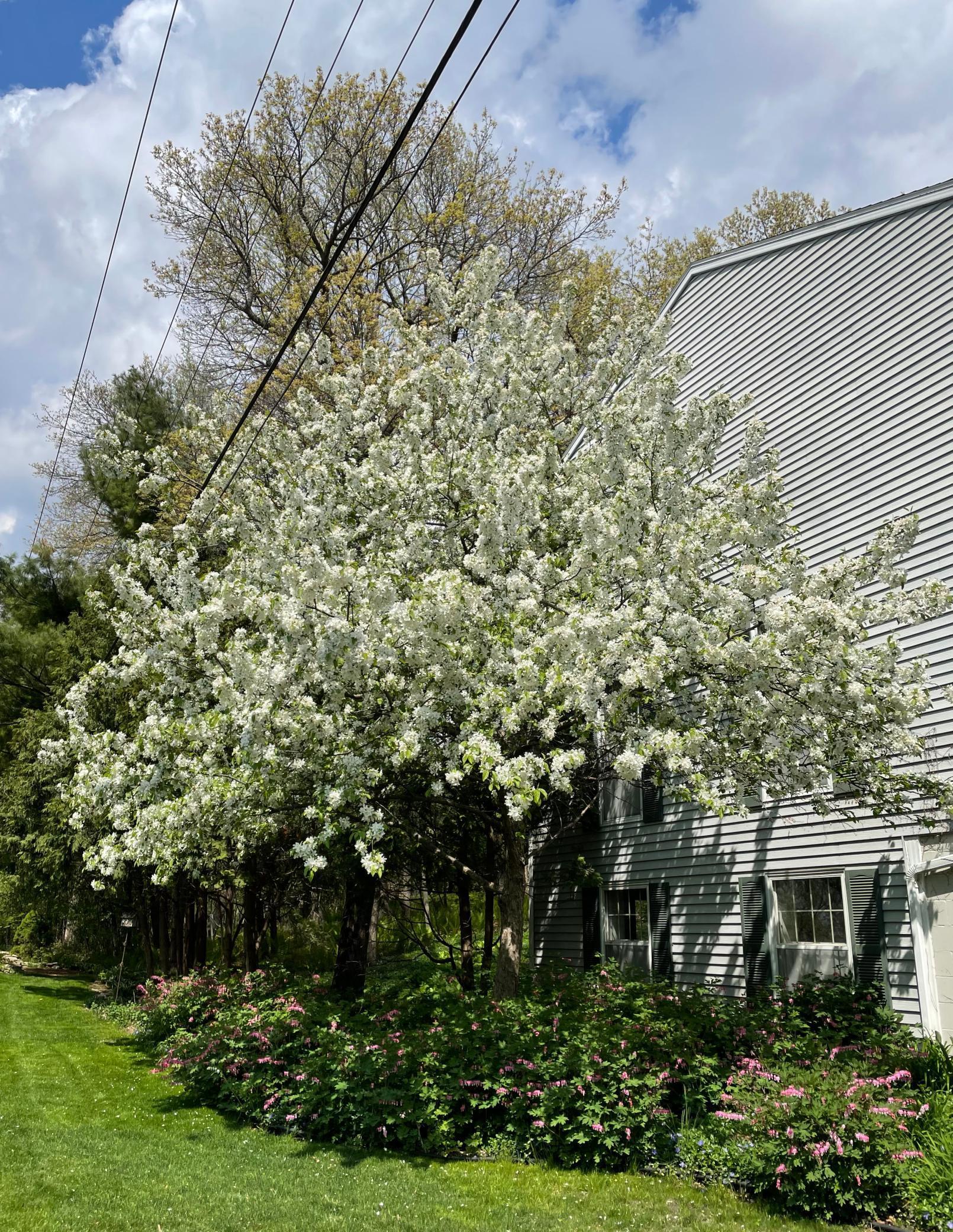 1007 20th Street, Rochester, Minnesota image 6
