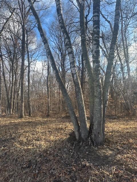 L3B2 Wilderness Parkway, Crosslake, Minnesota image 14