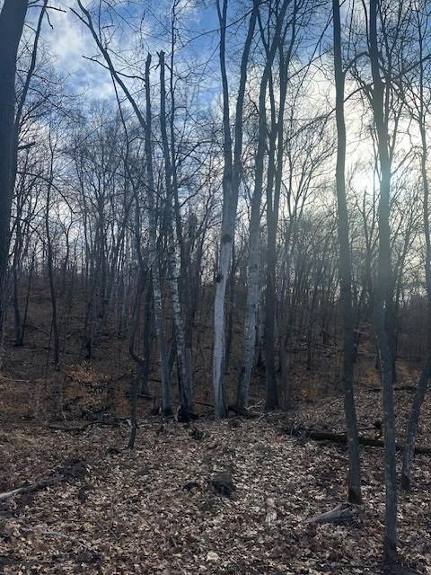 L3B2 Wilderness Parkway, Crosslake, Minnesota image 1