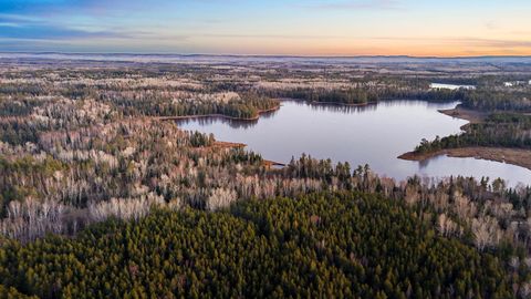 Vacant Land For Sale - TBD Arthur Lake<br/> Saint Louis County, Babbitt, MN 55706