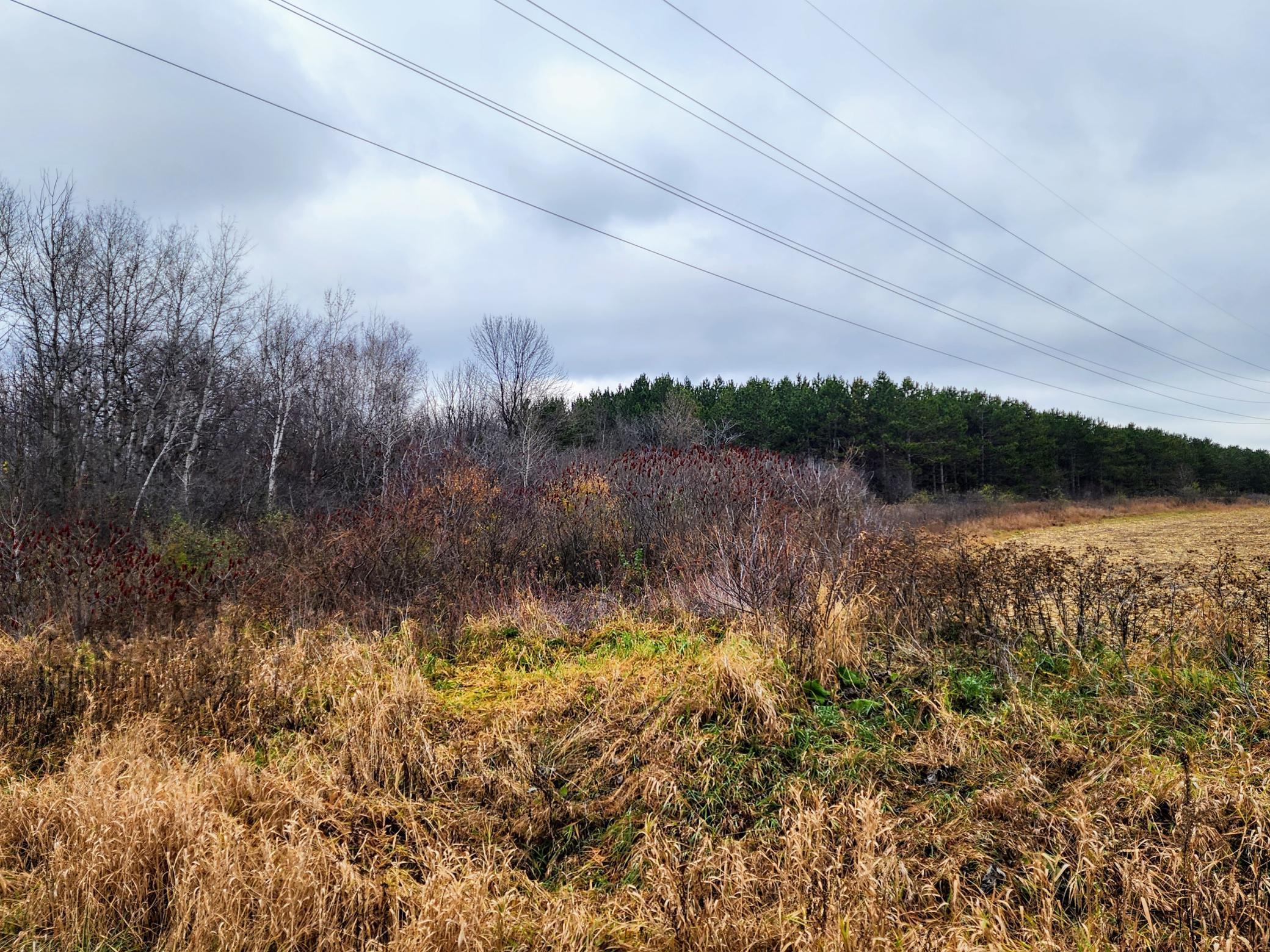 00 Highway 8, Almena, Wisconsin image 2