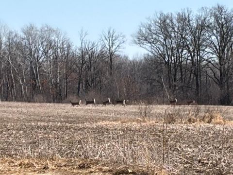 Vacant Land For Sale - 20XX Quail Street<br/> Kanabec County, Mora, MN 55051