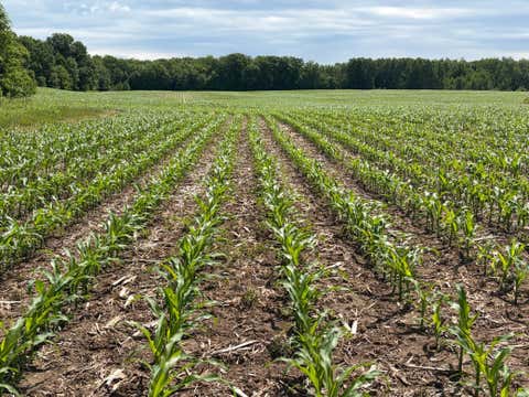 Vacant Land For Sale - 20XX Quail Street<br/> Mora, MN 55051