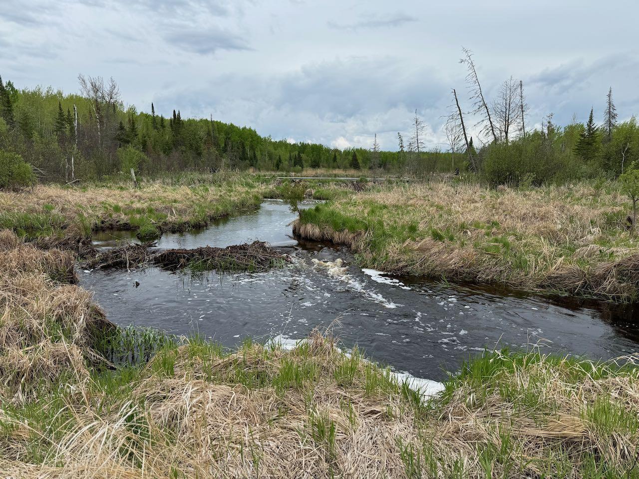 11000 Cr64, Mizpah, Minnesota image 19