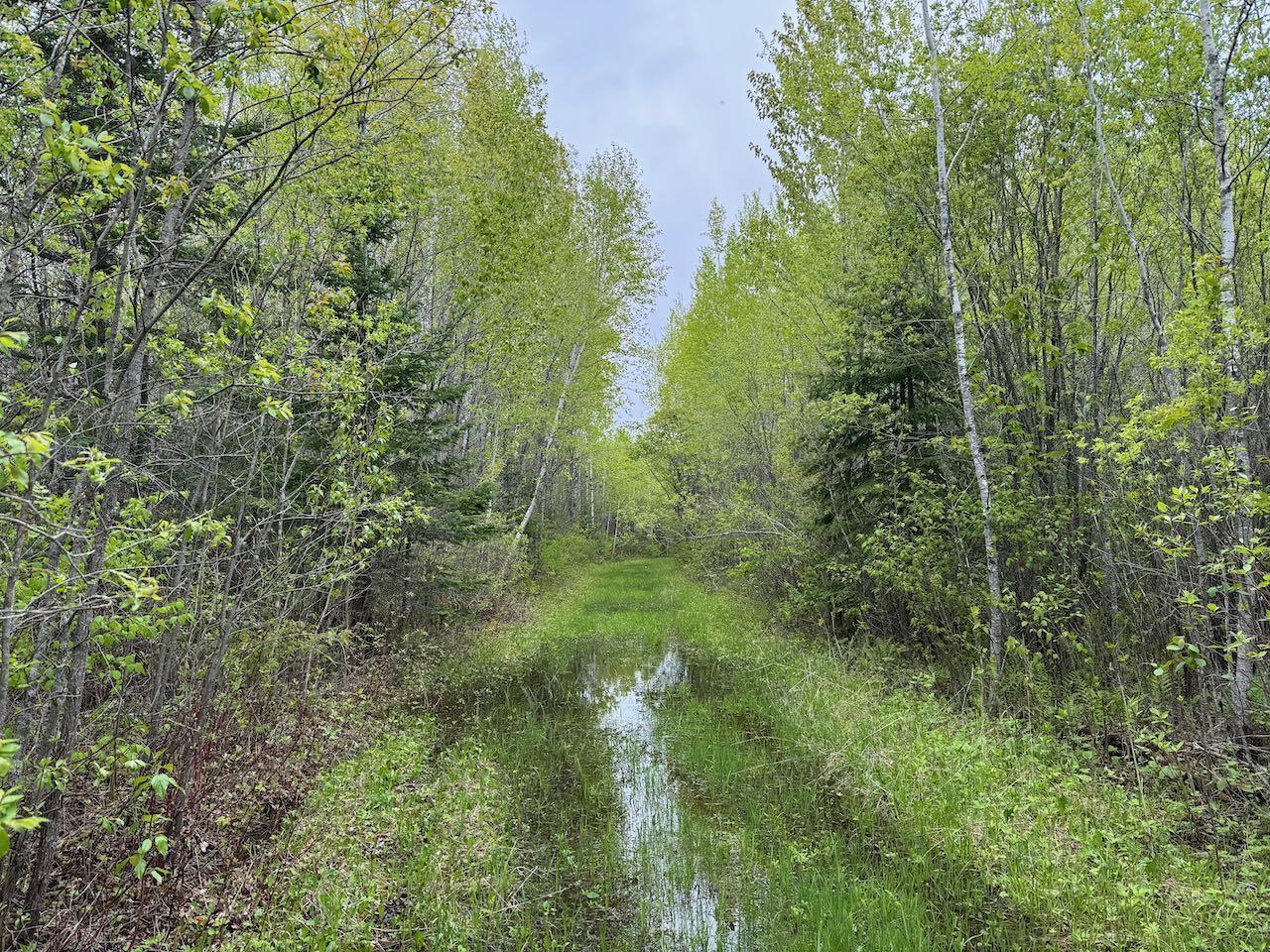 11000 Cr64, Mizpah, Minnesota image 9