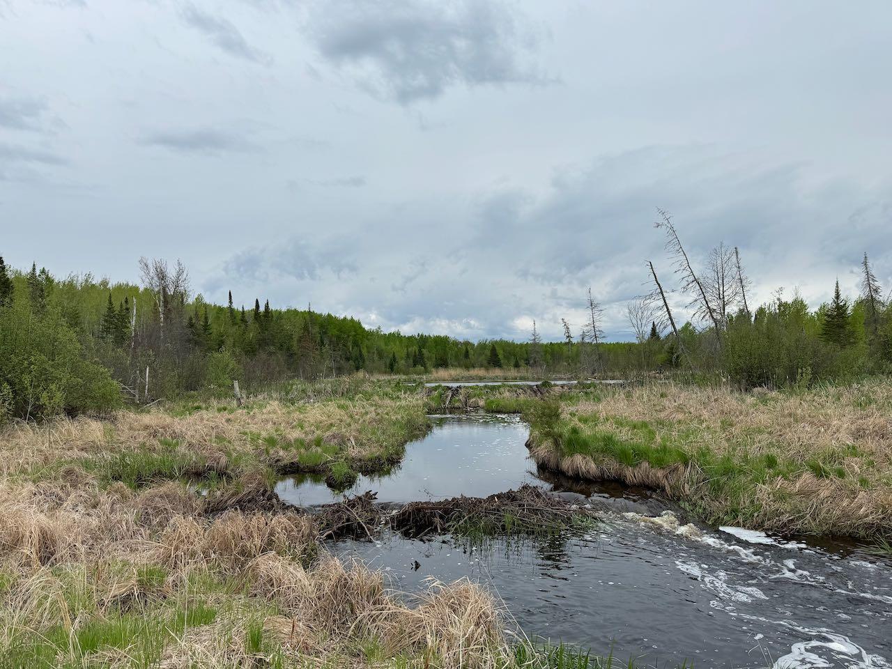 11000 Cr64, Mizpah, Minnesota image 25