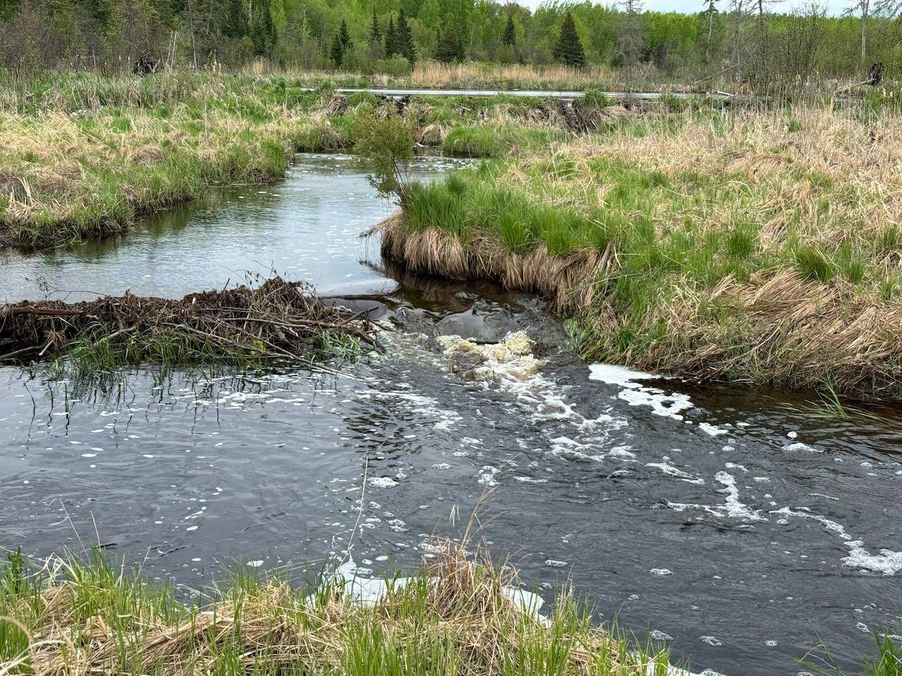 11000 Cr64, Mizpah, Minnesota image 20