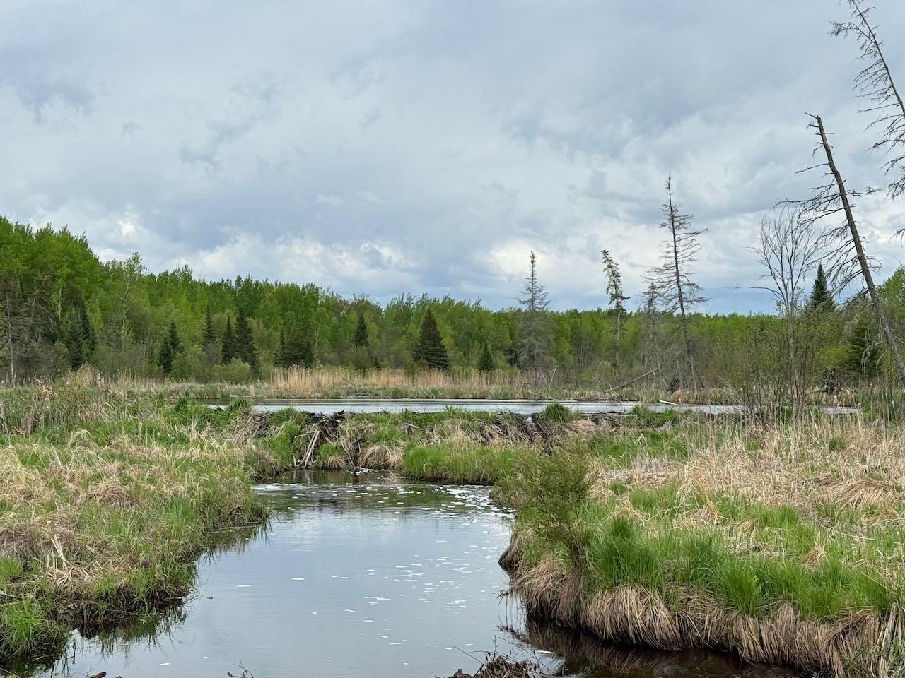 11000 Cr64, Mizpah, Minnesota image 26