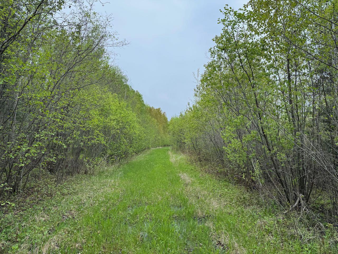 11000 Cr64, Mizpah, Minnesota image 7