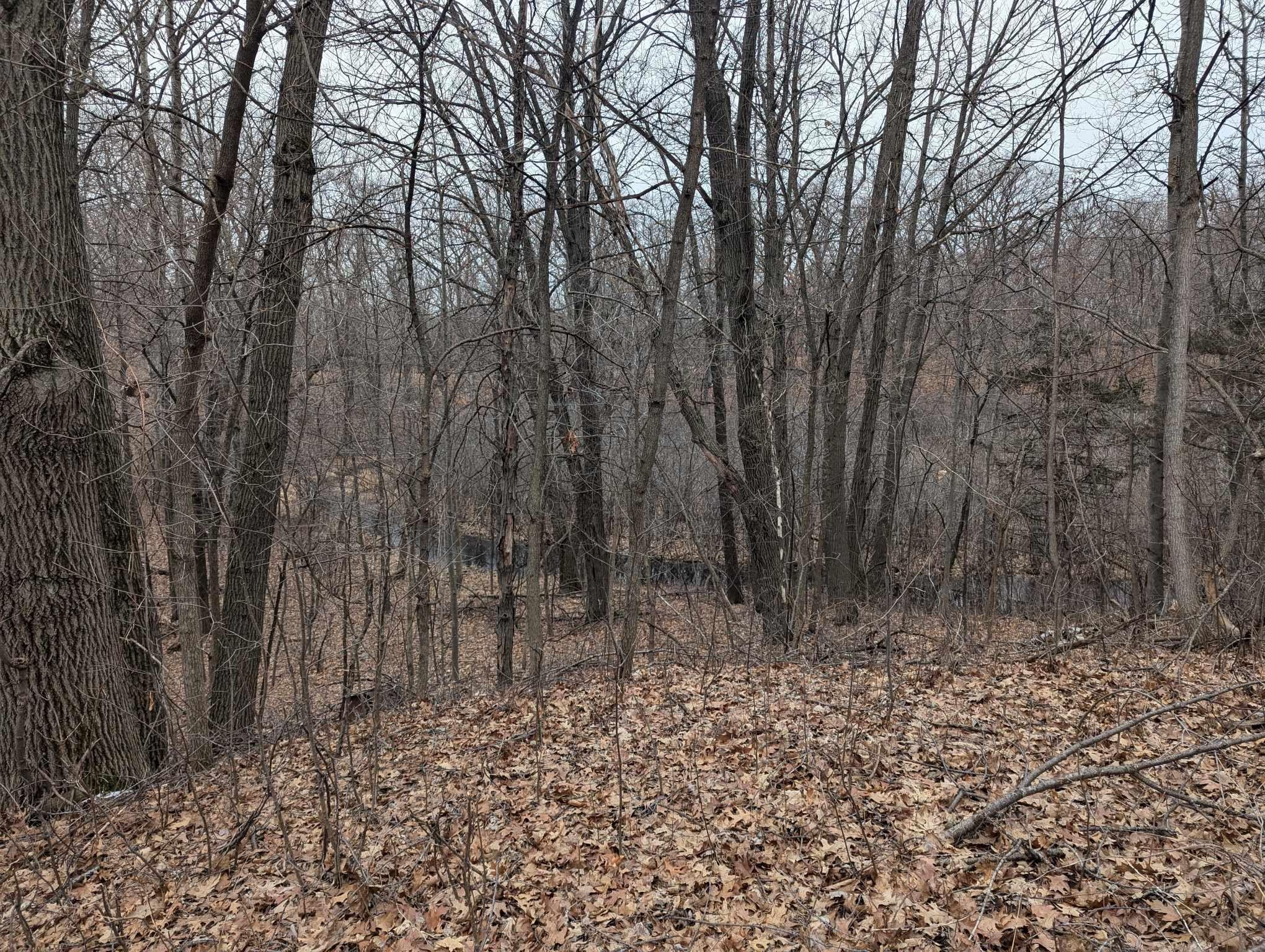 23020 Manning Trail, Scandia, Minnesota image 36