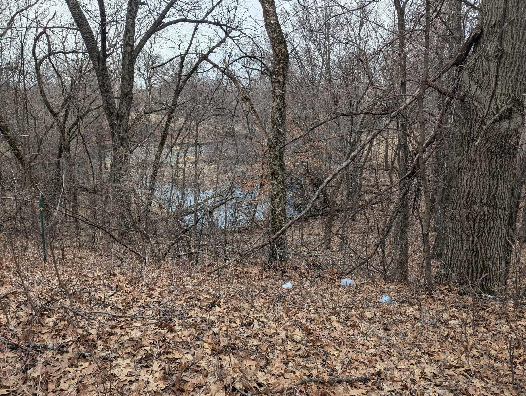 23020 Manning Trail, Scandia, Minnesota image 37