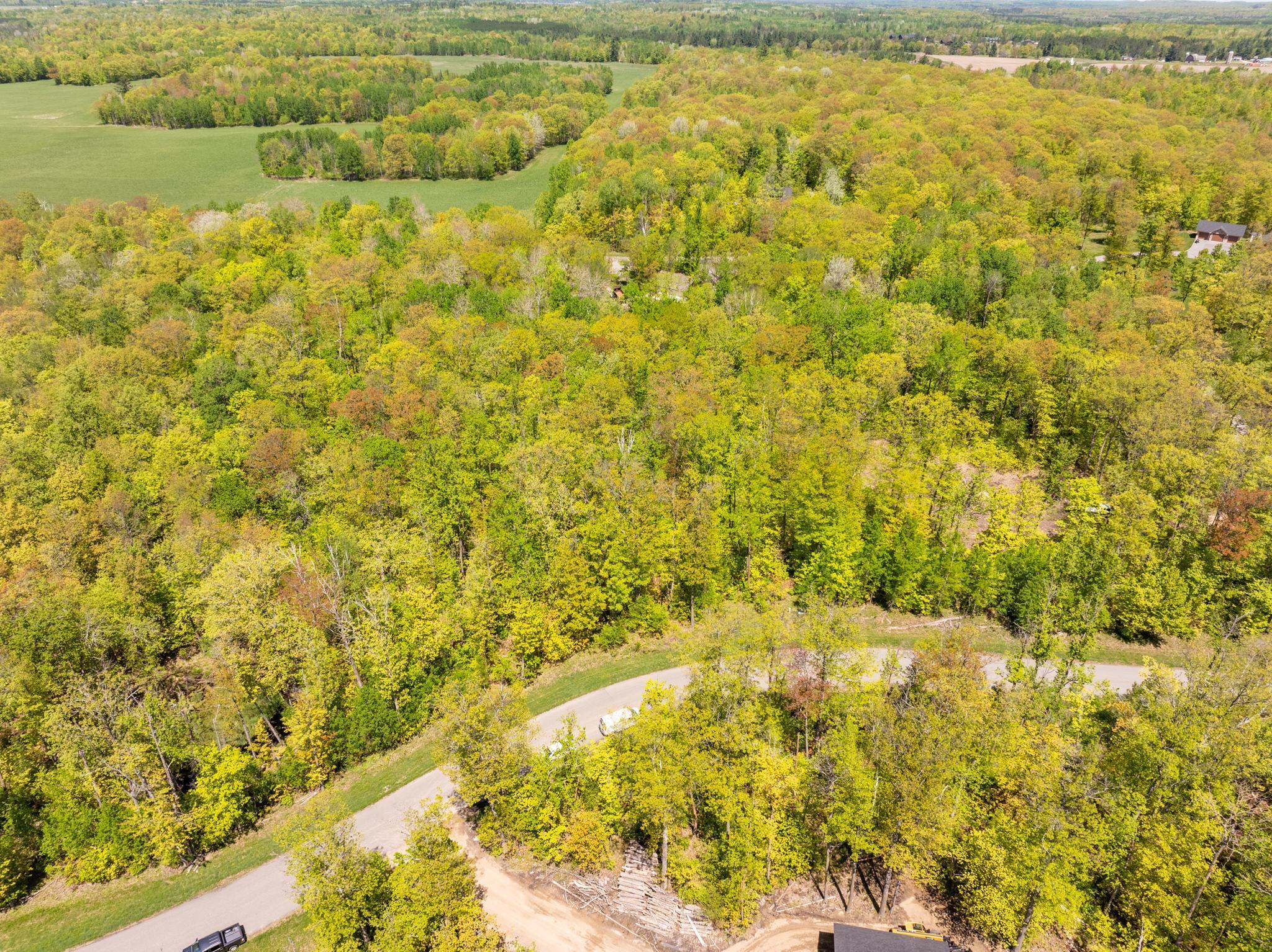 Lot 13 BLK 1 Nicholas St Nicholas Street, Grand Rapids, Minnesota image 6