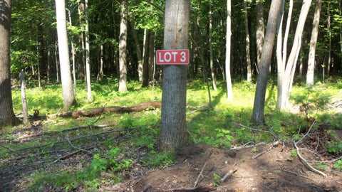 Vacant Land For Sale - LOT 3 Howard Johnson Trl<br/> Siren, WI 54872